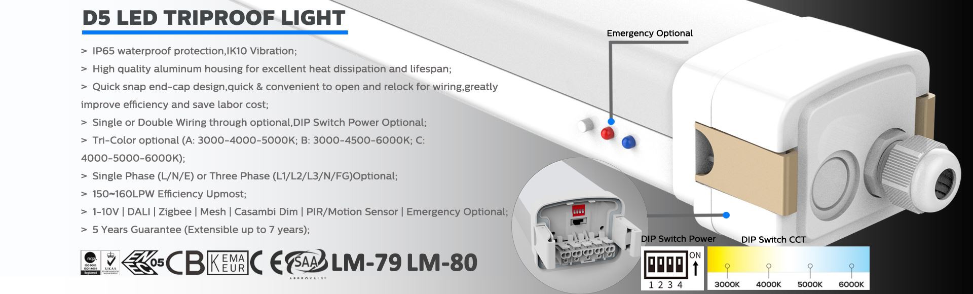 DUALRAYS D5 LED Triproof Light